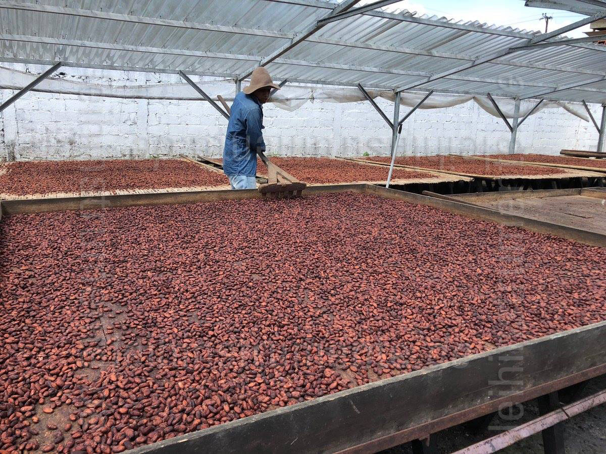 zur Artikelbeschreibung / Preis Willie`s Kakao 100% - PERUVIAN BLACK - CHULUCANAS - 180g Block zum Raspeln