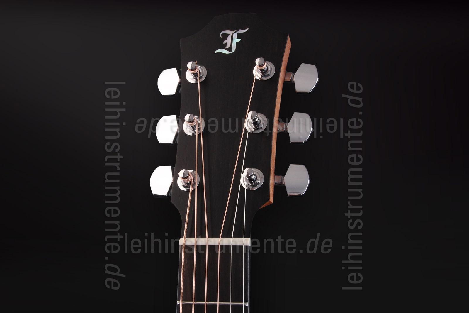 zur Artikelbeschreibung / Preis Western-Gitarre - FURCH GREEN PLUS D-SW - Dreadnought - vollmassiv 